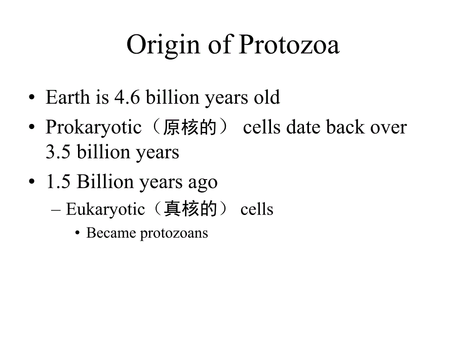 最新大学动物学原生动物教学课件_第2页