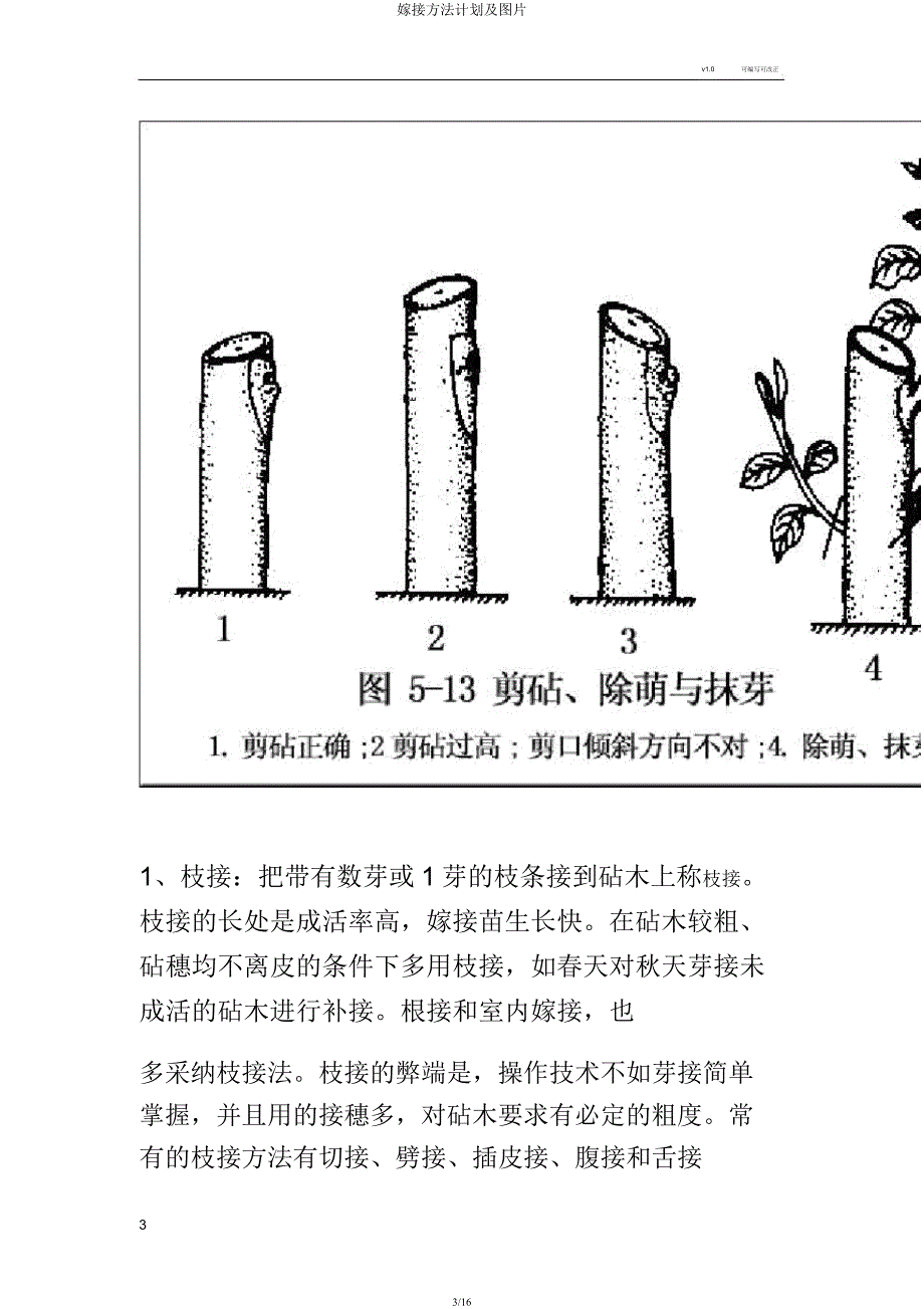 嫁接方法计划及图片.docx_第3页