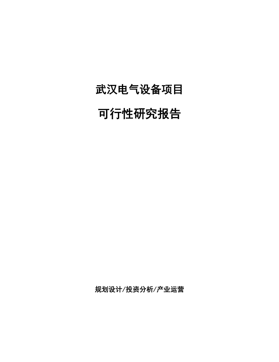 武汉电气设备项目可行性研究报告