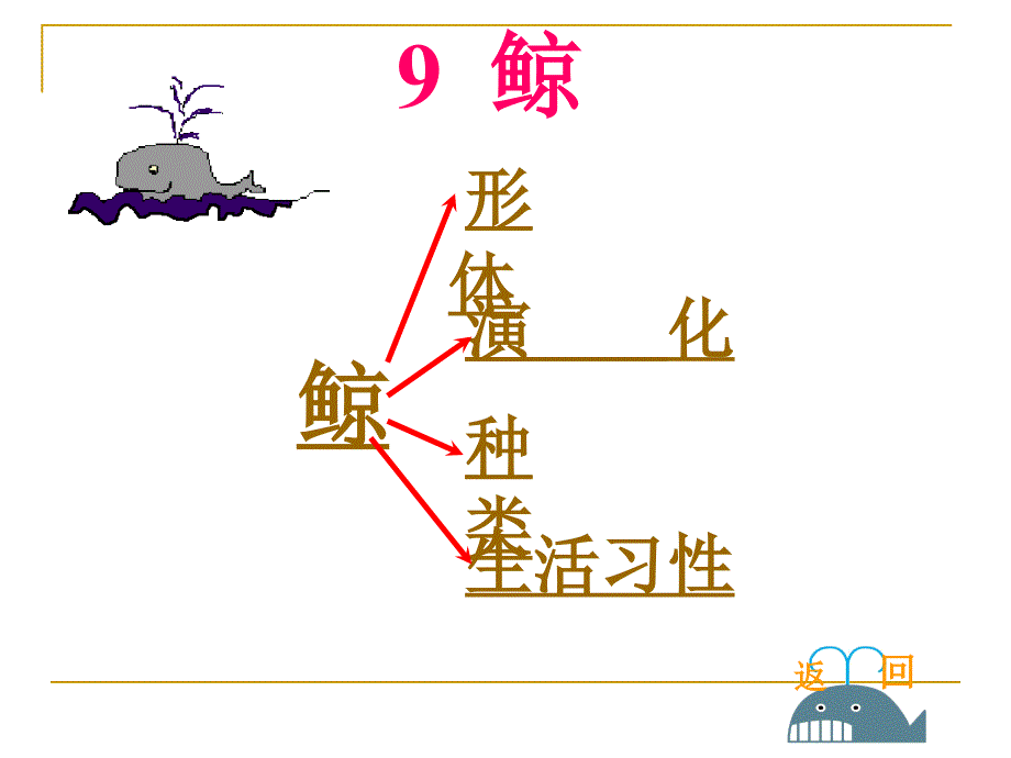 人教版五年级语文上册第三组《09鲸》.ppt_第2页