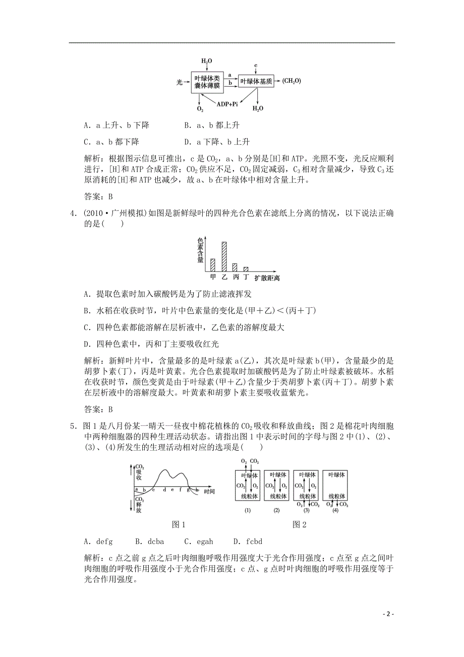 2012高考生物一轮复习 第5章 细胞的能量供应和利用 第4节 能量之源——光与光合作用作业 新人教版必修1_第2页