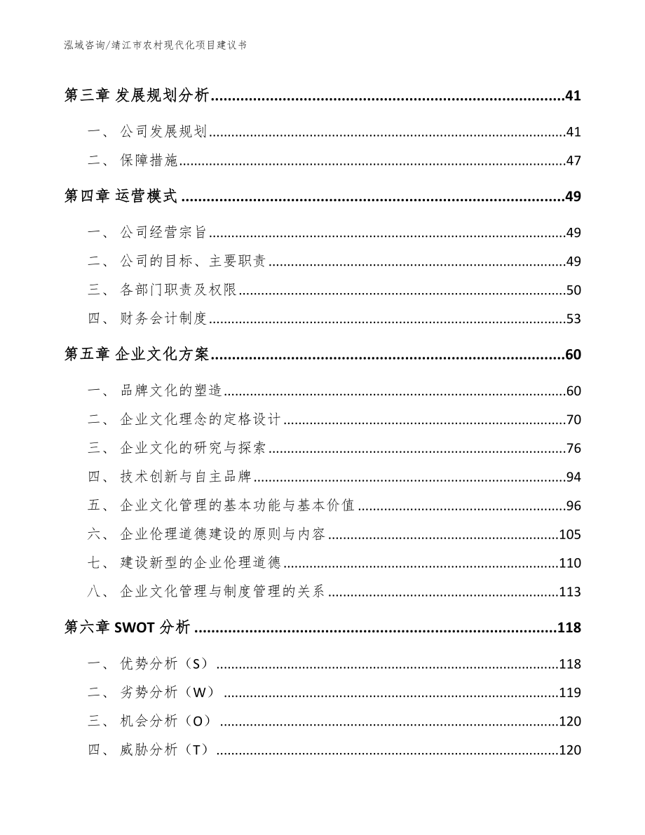 靖江市农村现代化项目建议书_第2页