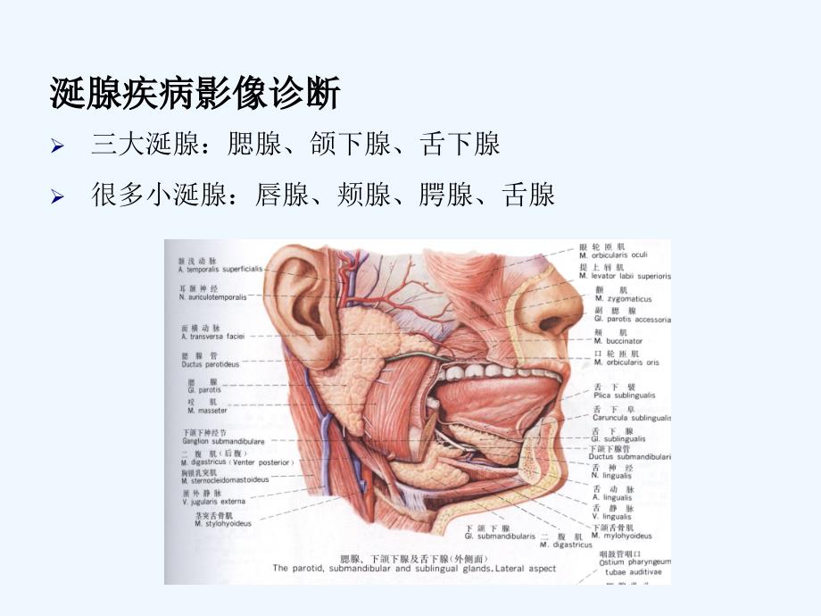 涎腺疾病影像诊断_第2页