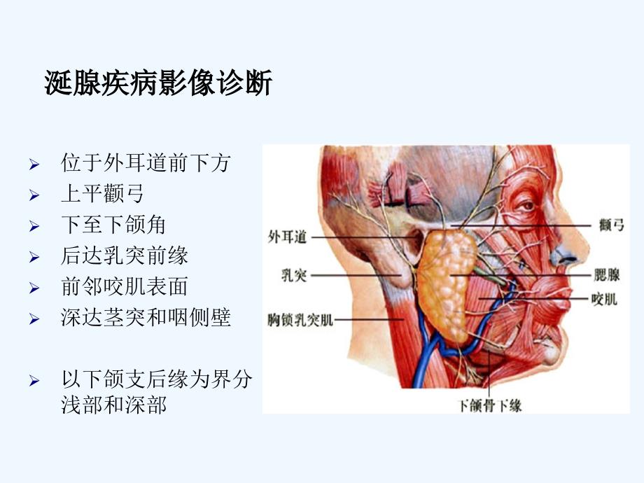 涎腺疾病影像诊断_第3页