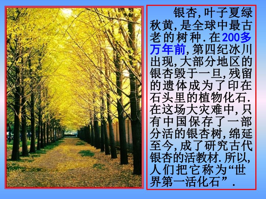 指数与指数幂的计算.ppt_第4页