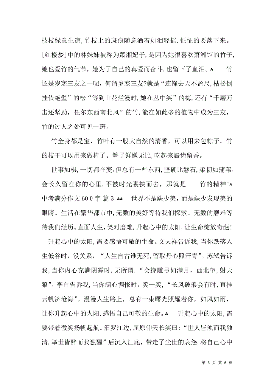 热门中考满分作文600字五篇_第3页