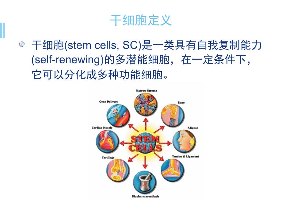 自体干细胞免疫疗法ppt参考课件_第2页