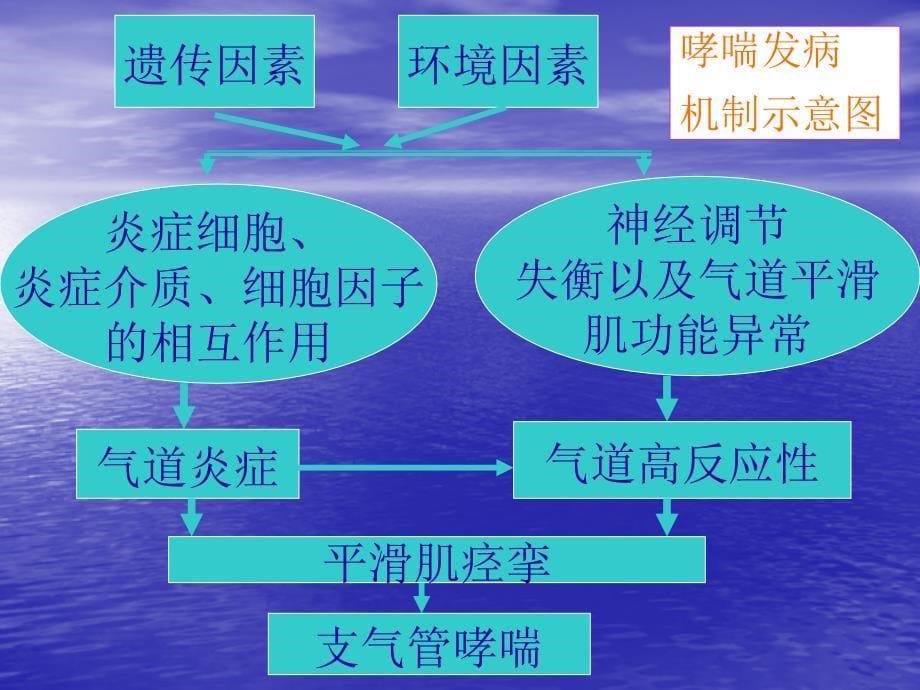 主要呼吸疾病的临床用药教学课件幻灯_第5页