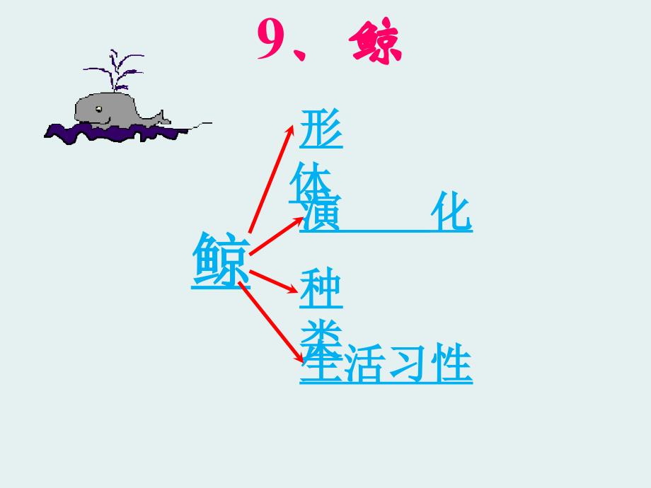 人教版语文五年级上册第9课《鲸》ppt课件2.ppt_第3页