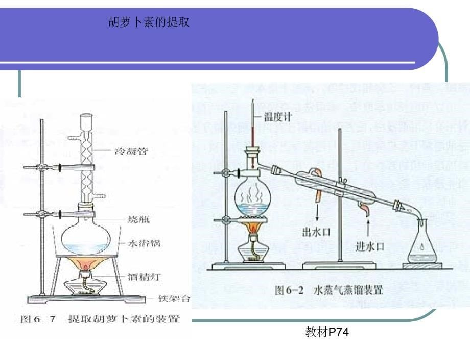 曹旭霞胡萝卜素的提取_第5页