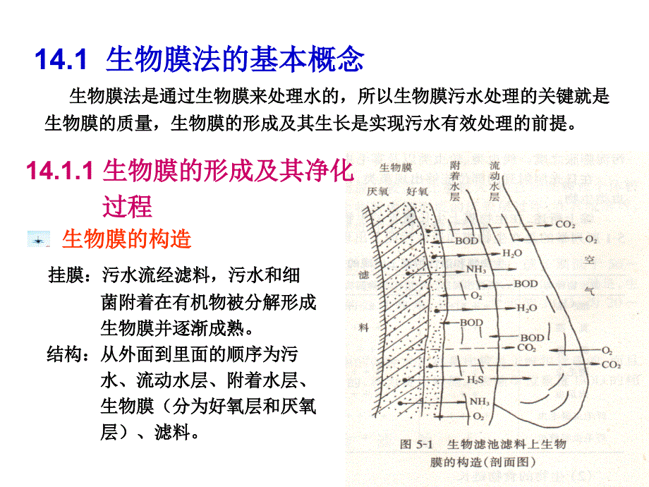 《生物膜法与工艺》PPT课件_第4页