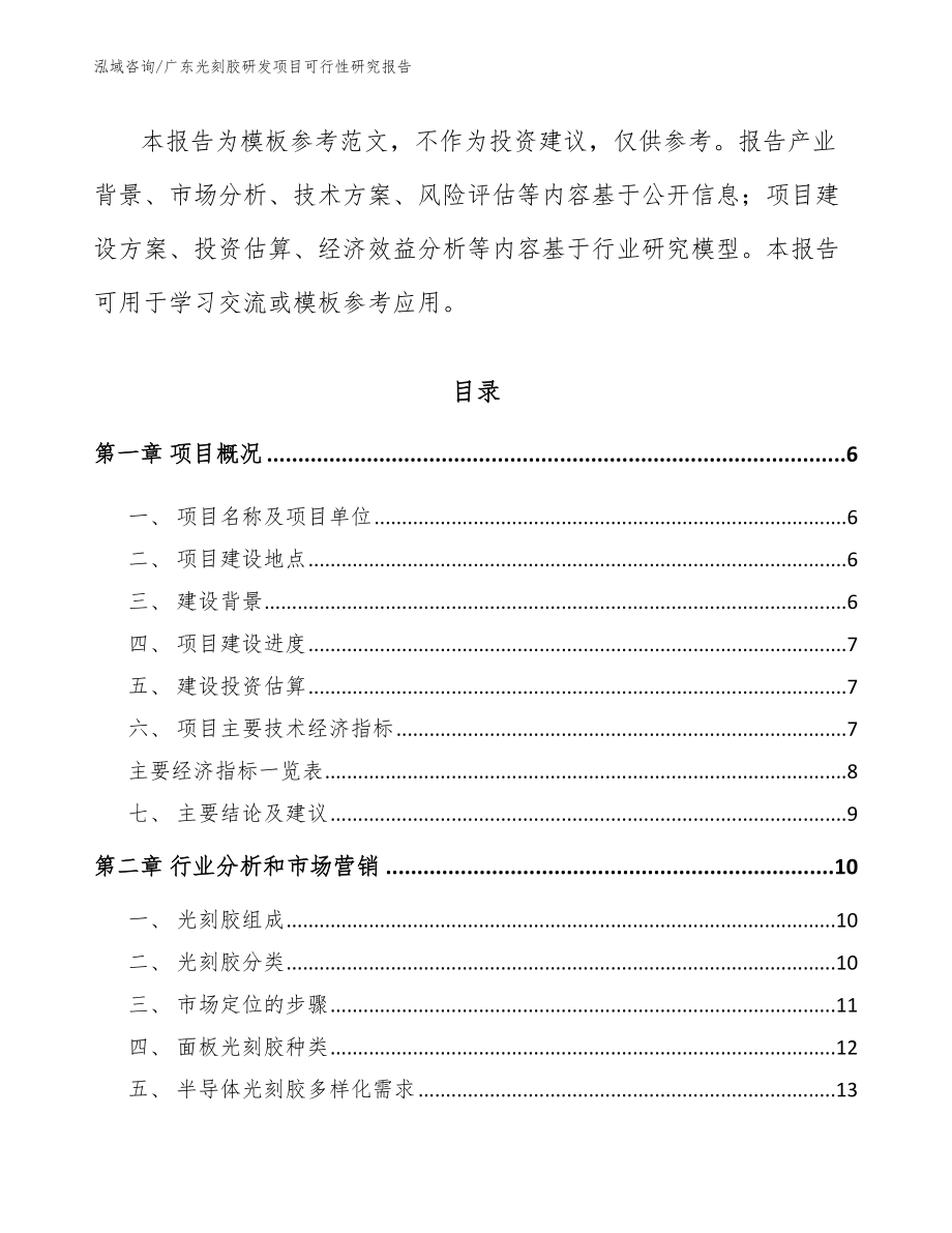 广东光刻胶研发项目可行性研究报告（范文参考）_第2页