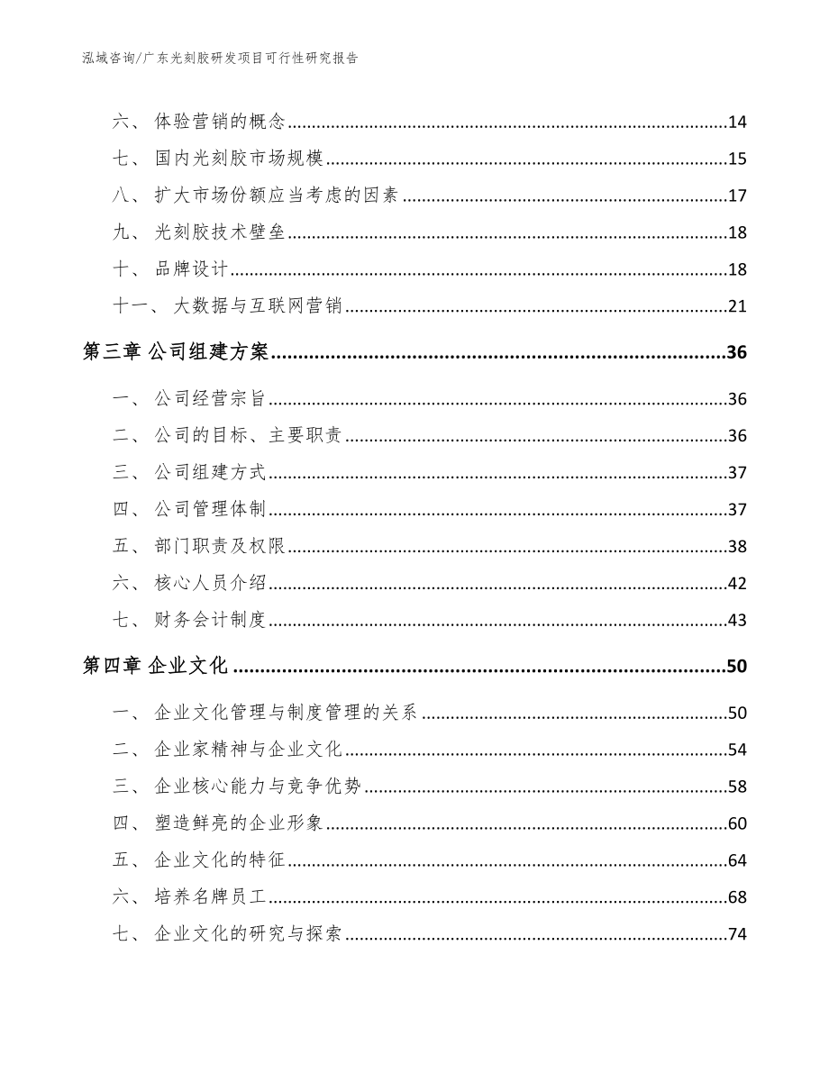 广东光刻胶研发项目可行性研究报告（范文参考）_第3页