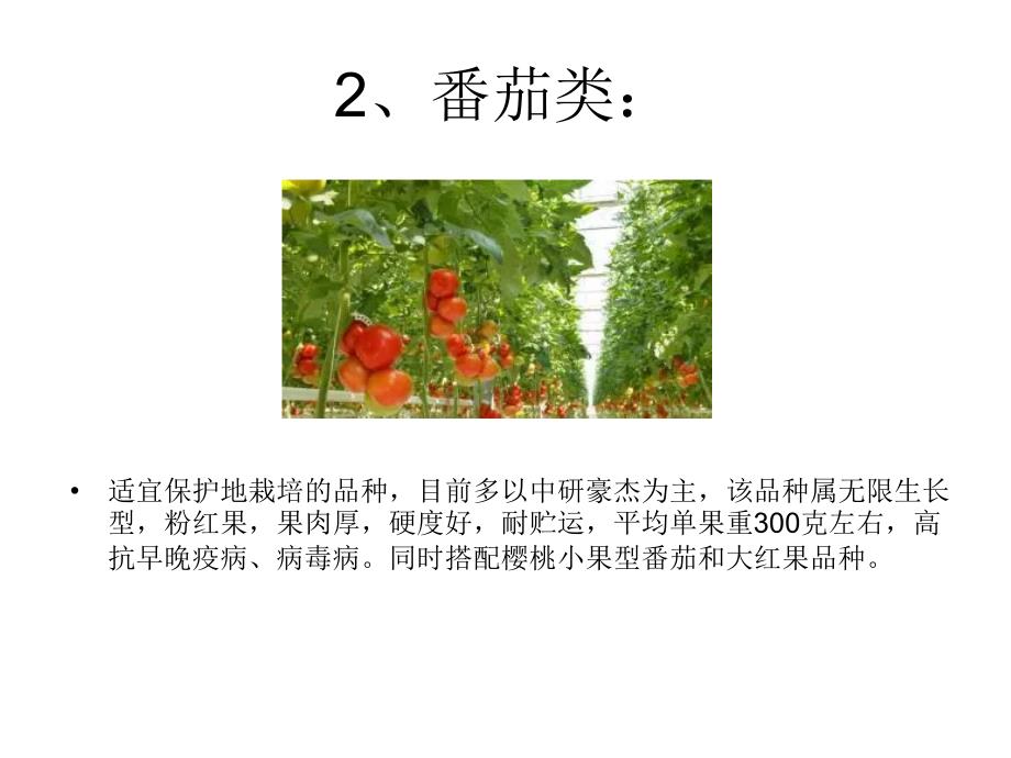 蔬菜种植栽培技术专题培训ppt课件_第3页