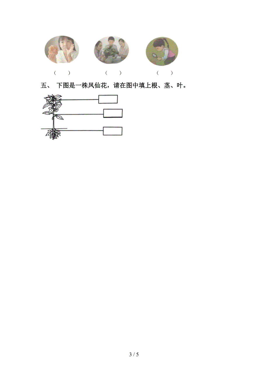 2022年教科版一年级科学上册期中试卷及答案【审定版】.doc_第3页