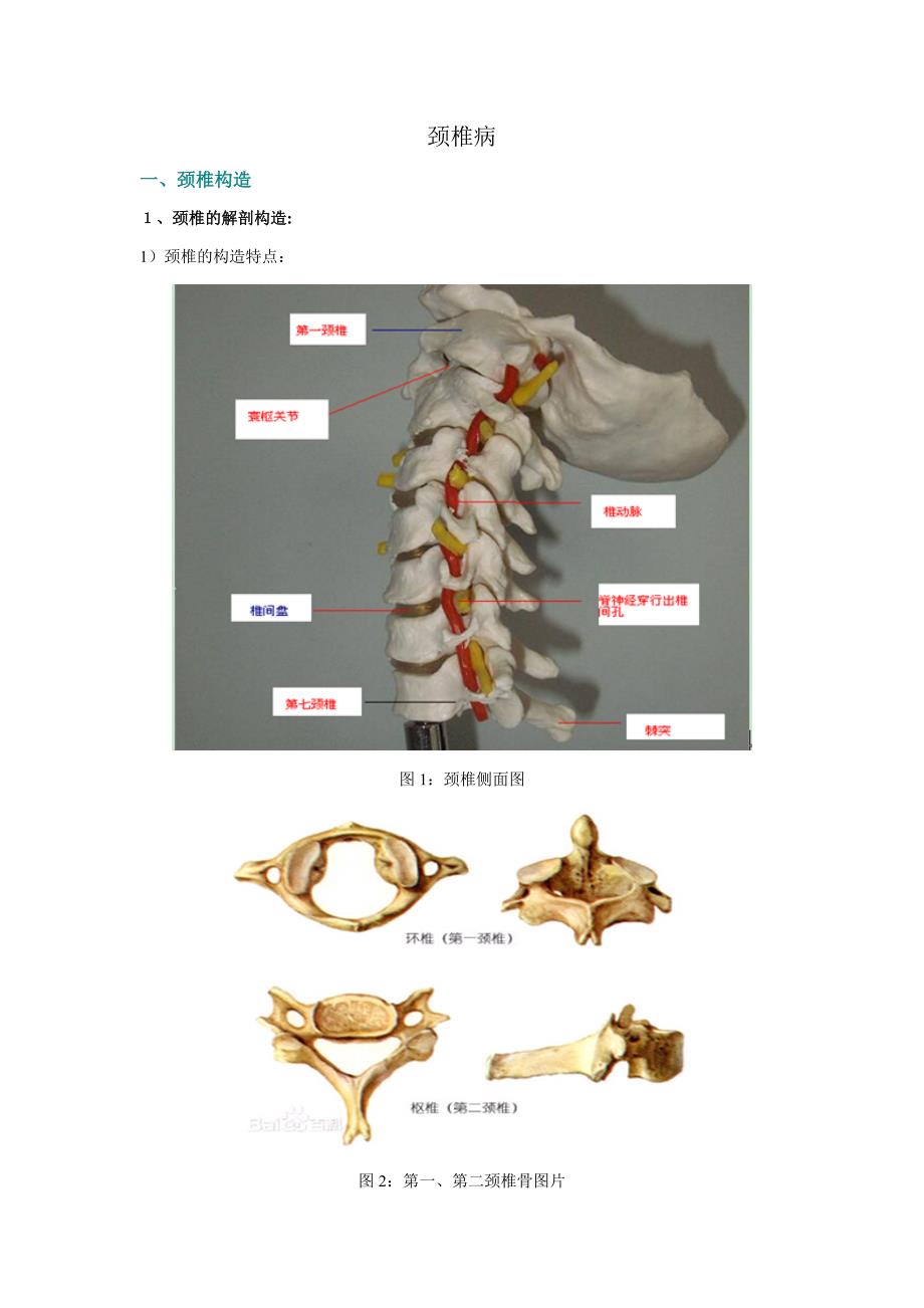 颈椎病内容整理(多图)_第1页