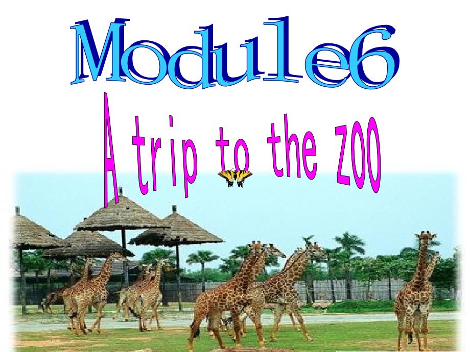 外研版七年级上英语Module6_A_trip_to_the_zoo复习课件_第2页