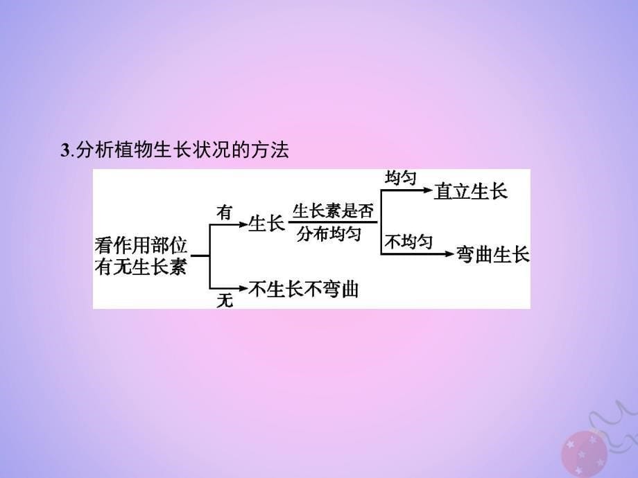 2018-2019学年高中生物 第3章 植物的激素调节本章整合课件 新人教版必修3_第5页