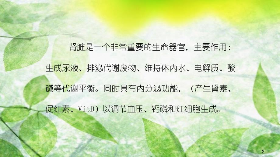 肾功能课件共40页_第2页