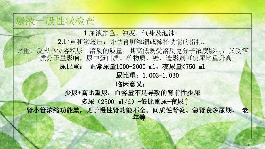 肾功能课件共40页_第5页