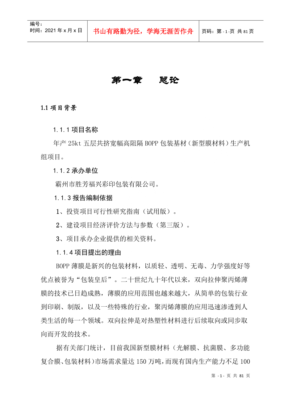 BOPP包装公司项目管理报告书_第1页