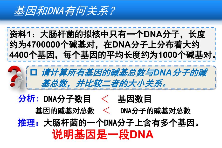 基因是有遗传效应的DNA片段上课版 (PPT)_第4页