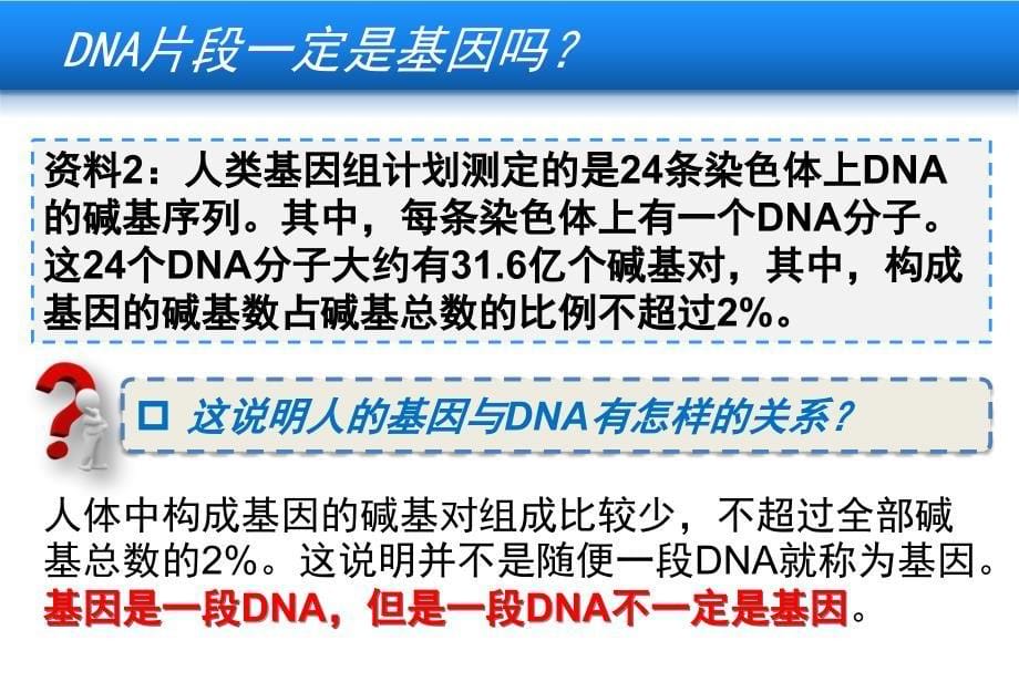 基因是有遗传效应的DNA片段上课版 (PPT)_第5页