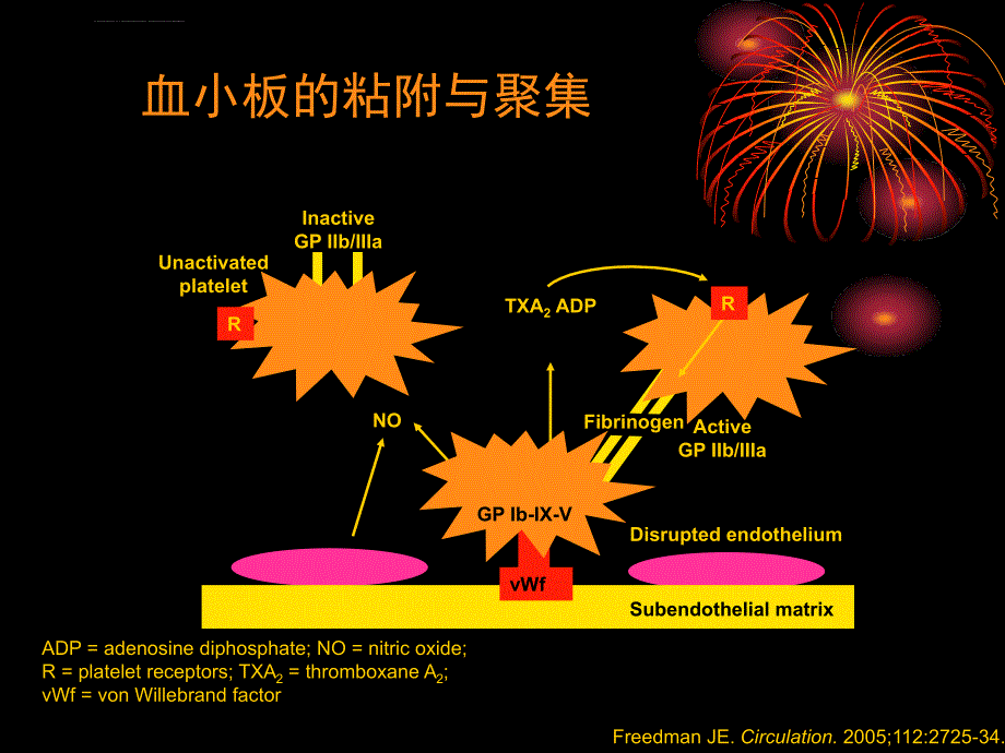 抗血小板药物的合理应用ppt课件_第3页