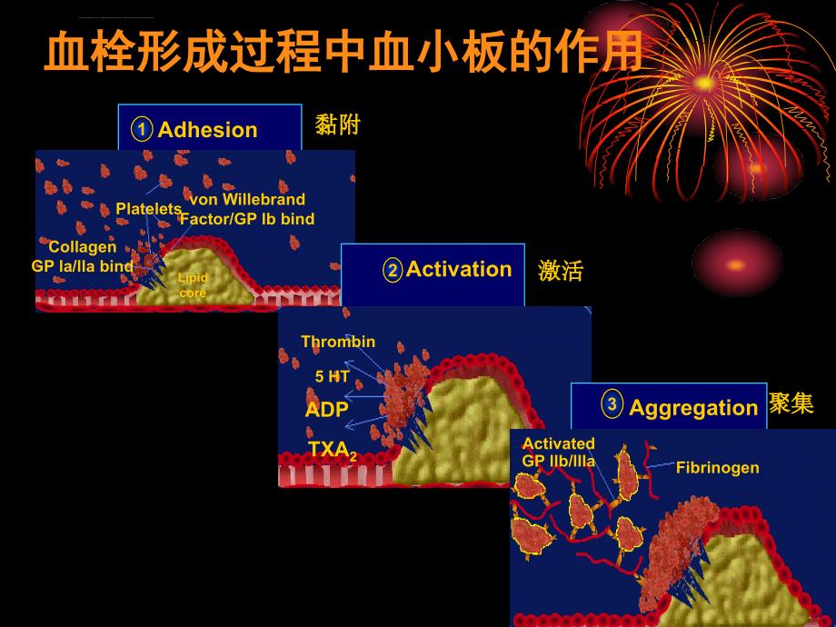 抗血小板药物的合理应用ppt课件_第4页