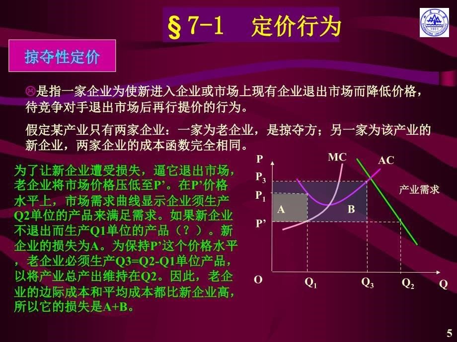 第七章企业行为_第5页