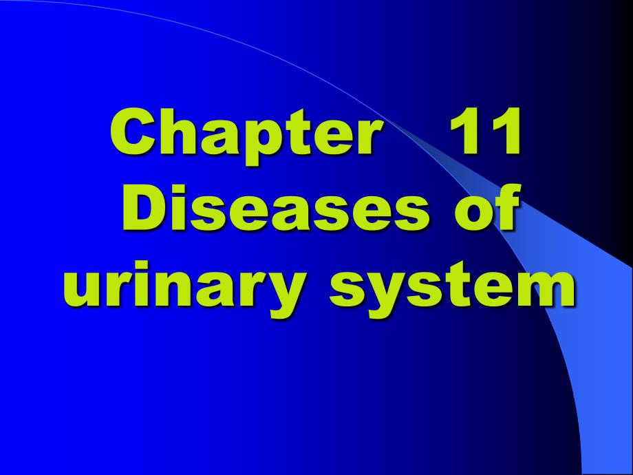 病理学教学课件：e11 Diseases of urinary system1_第1页