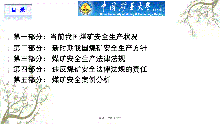 安全生产法律法规PPT课件_第2页