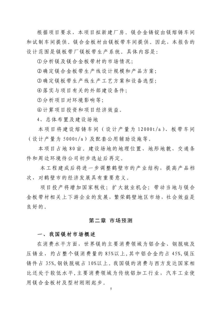 年产5000吨镁合金板材项目商业计划书_第5页