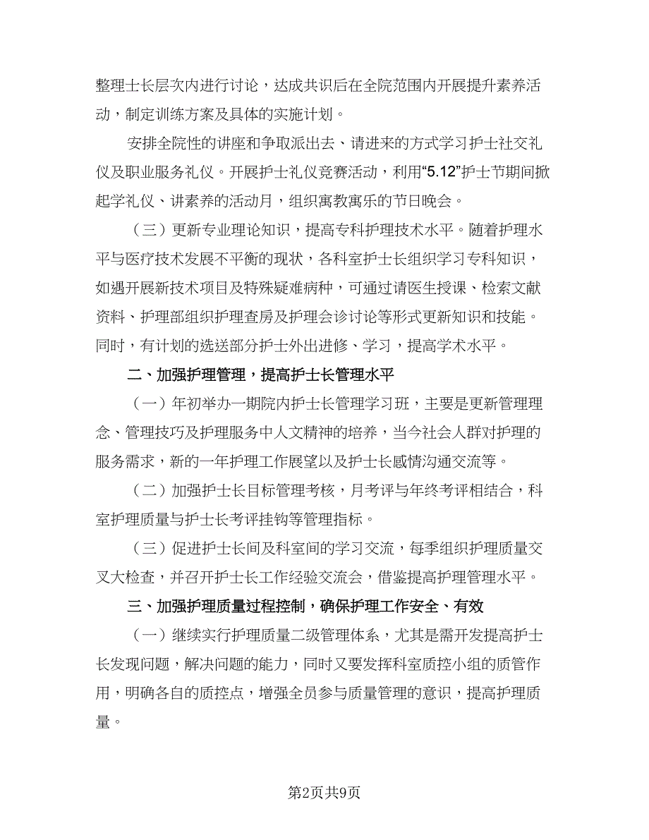 民营医院护理部工作计划标准版（三篇）.doc_第2页