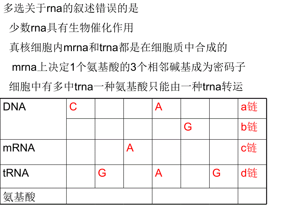 遗传信息的翻译部分课件_第4页