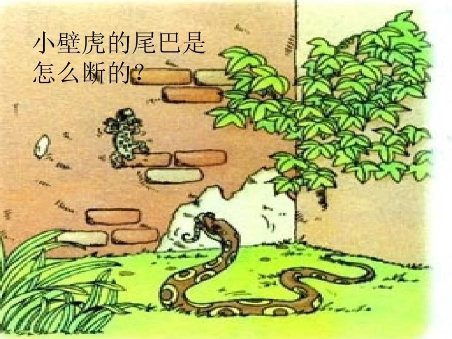 鲁甸茨院小学梁正标_第5页