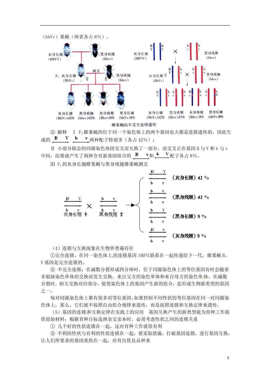 2013-2014学年高一生物下学期 第五章 第一节 基因突变与基因重组2教案 新人教版_第5页
