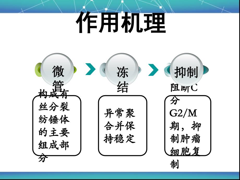 紫杉醇注射液介绍版PPT课件_第3页