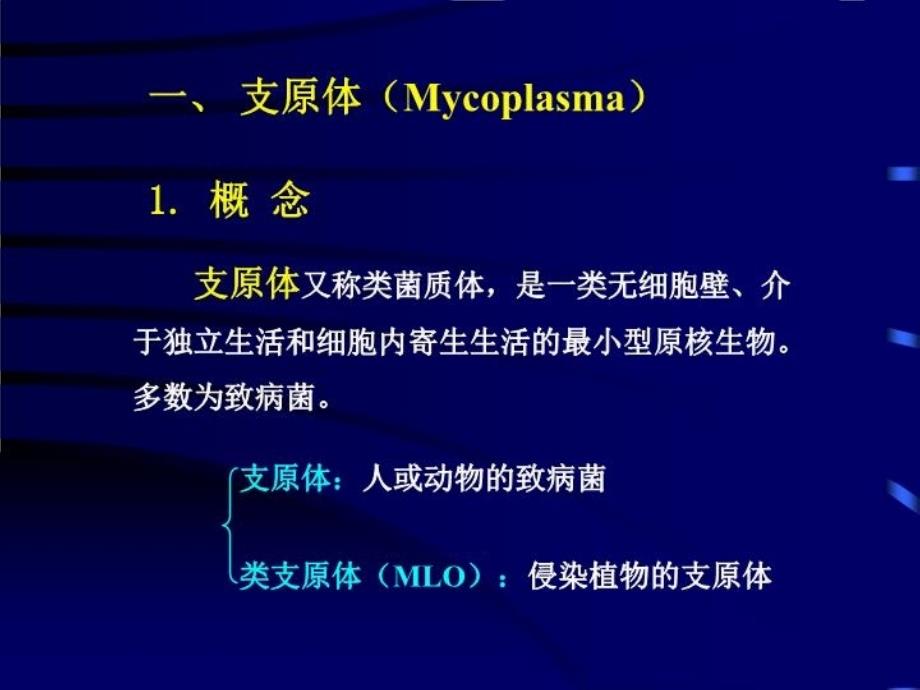 最新微生物学第1章4支原体立克次氏体和衣原体PPT课件_第4页