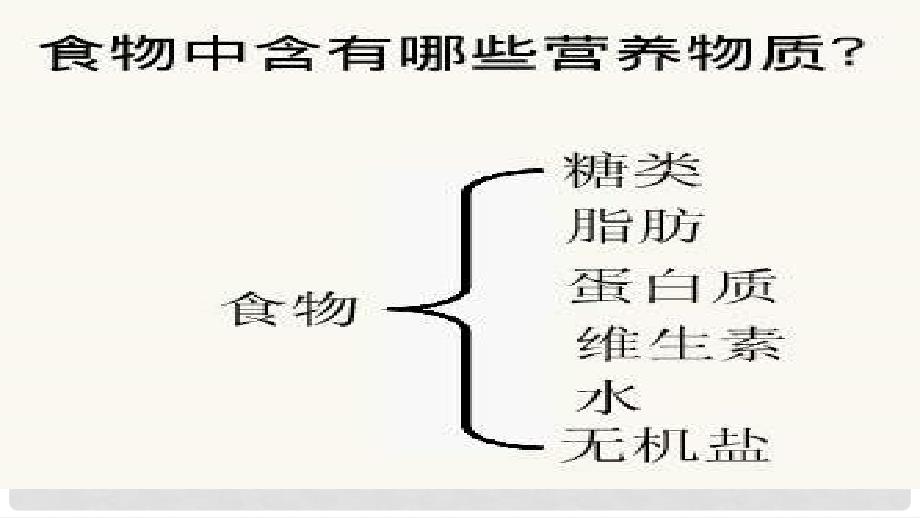 湖南省祁东县鸟江镇中心学校七年级生物下册 第二章 第一节 食物中的营养物质课件 （新版）新人教版_第3页