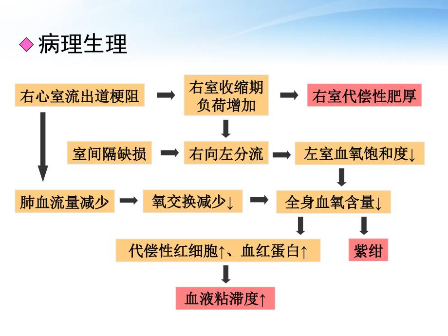 法洛四联症超声诊断要点PPT课件_第4页