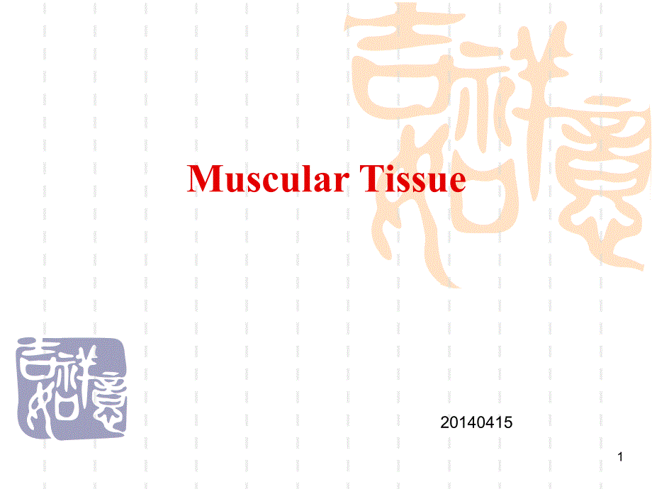 组胚学课件：Muscular tissue_第1页