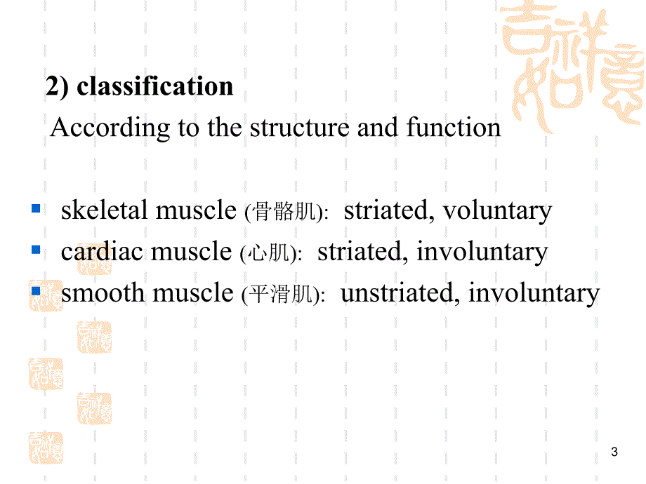 组胚学课件：Muscular tissue_第3页