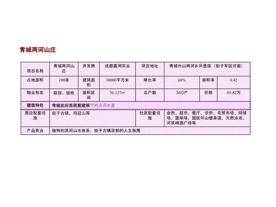 旅游地产度假别墅调查共28页PPT课件_第5页