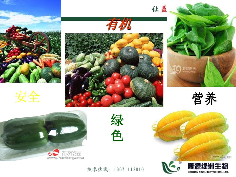 EM菌种在种植业上的应用.ppt_第3页