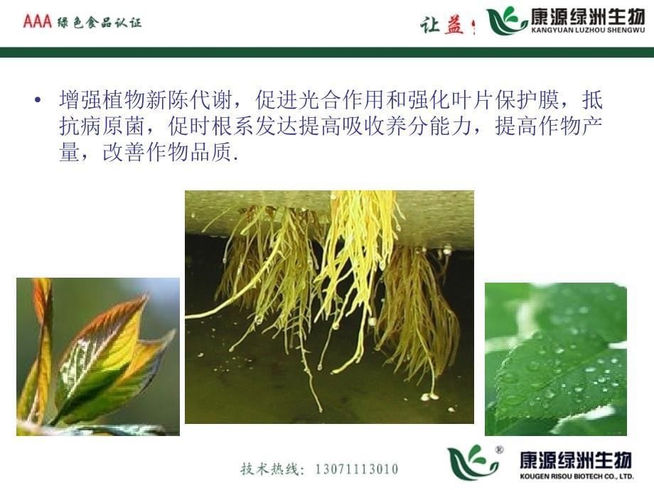 EM菌种在种植业上的应用.ppt_第5页