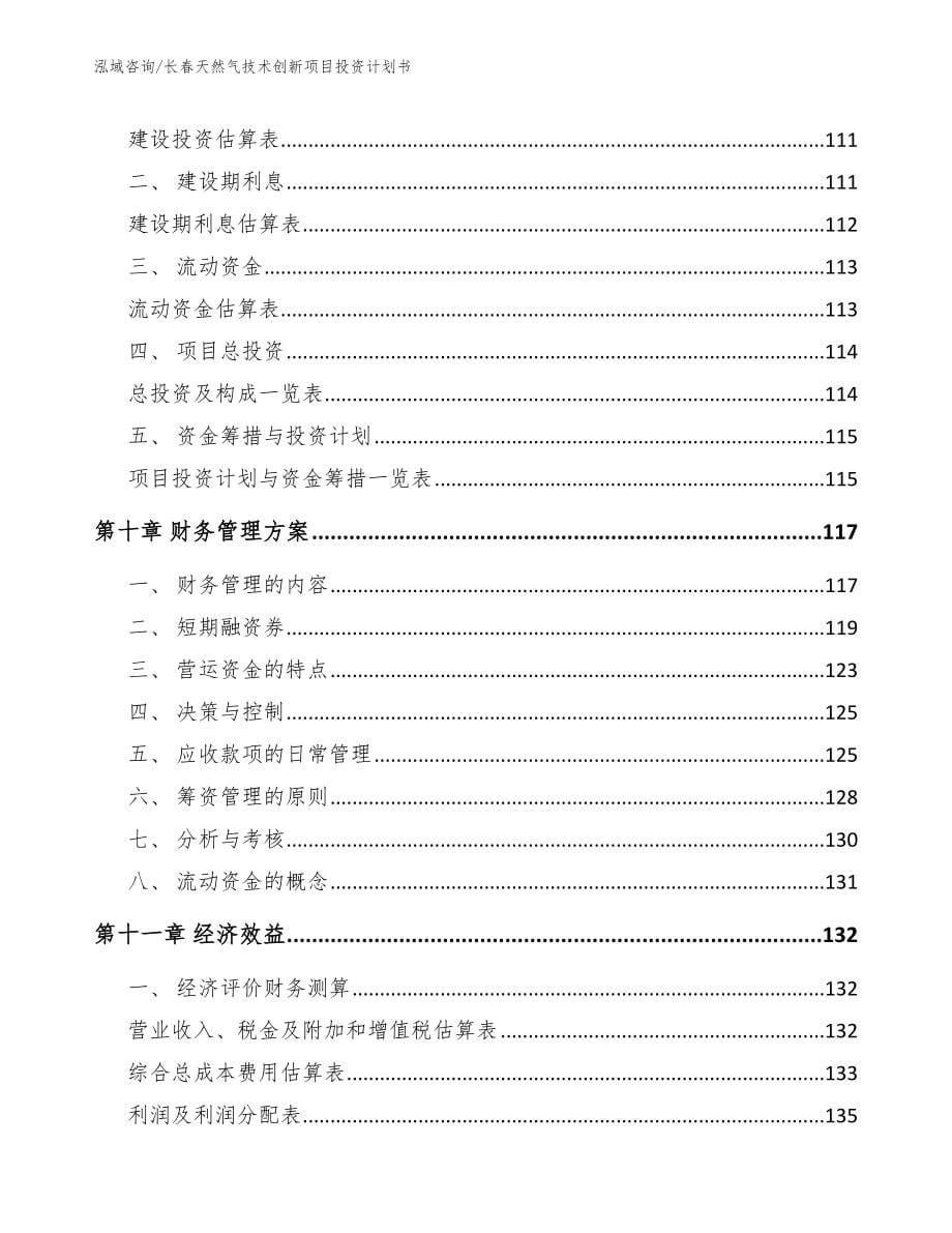 长春天然气技术创新项目投资计划书_第5页