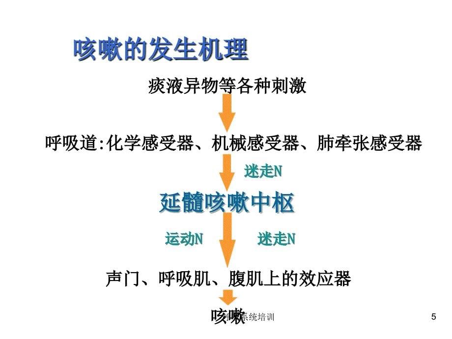 呼吸系统培训课件_第5页