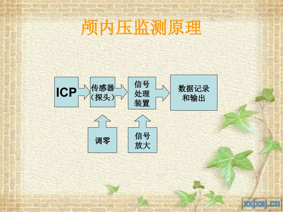 颅内压监测及护理.ppt_第3页