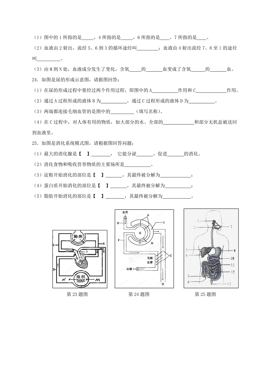 河南省新乡市七年级生物下学期期末试题 新人教版_第4页